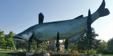 Sights Along the Way